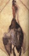 Albrecht Durer A Duck USA oil painting reproduction